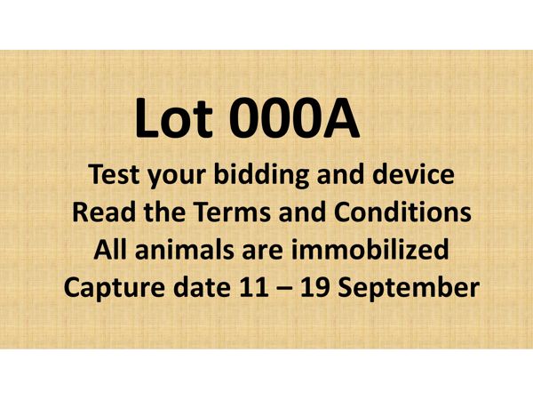 ~/upload/Lots/154537/AdditionalPhotos/ysjsbwlxtp3s2/Test your bidding _t600x450.jpg